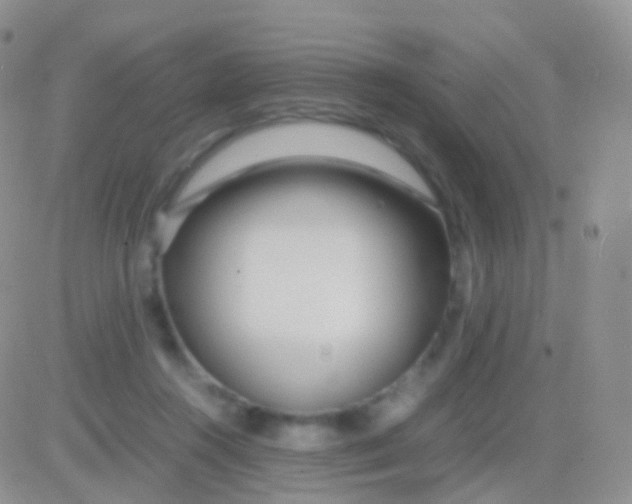 X0000083060360200702232027