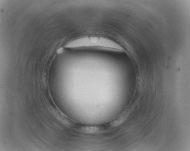 X0000083060361200702232027