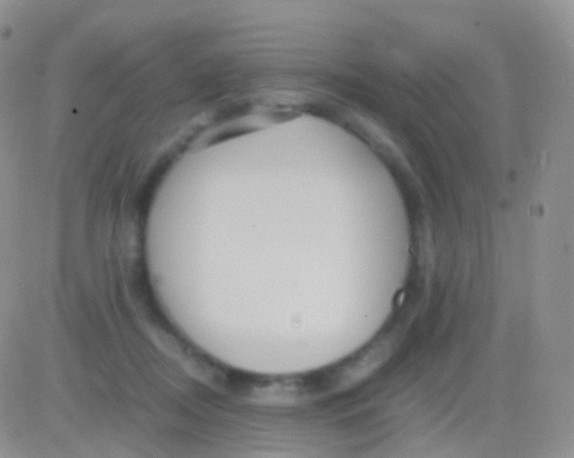 X0000083060362200702232027