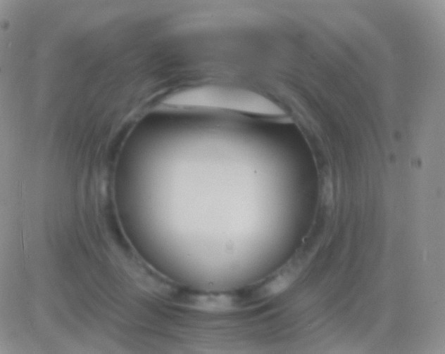 X0000083060363200702232027