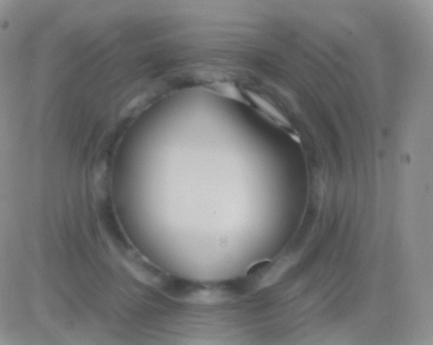 X0000083060364200702232027