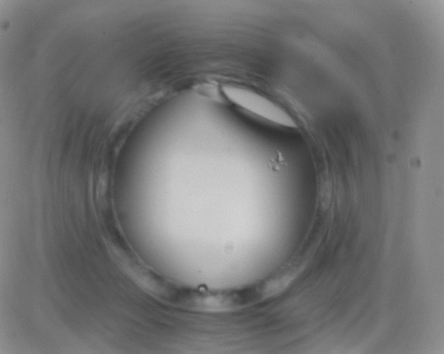 X0000083060365200702232027