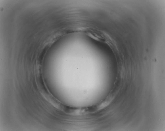 X0000083060366200702232027