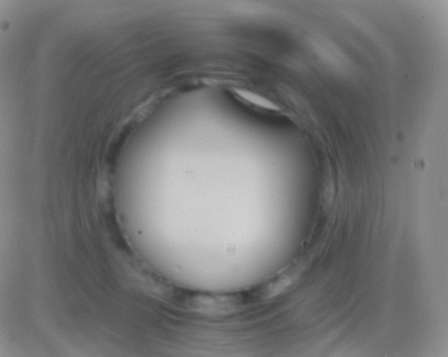 X0000083060367200702232027