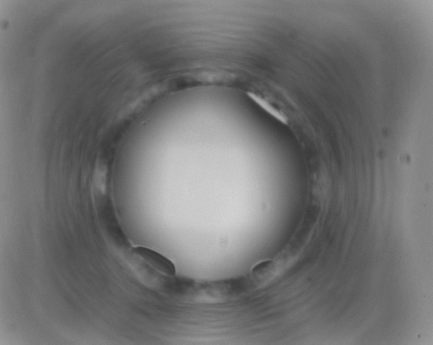 X0000083060368200702232027