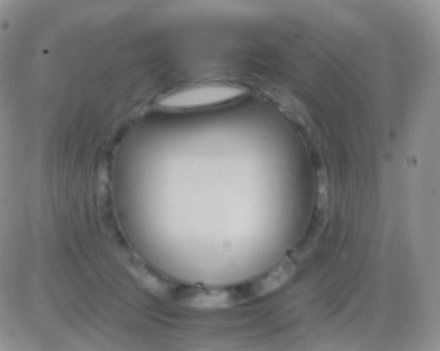 X0000083060369200702232027