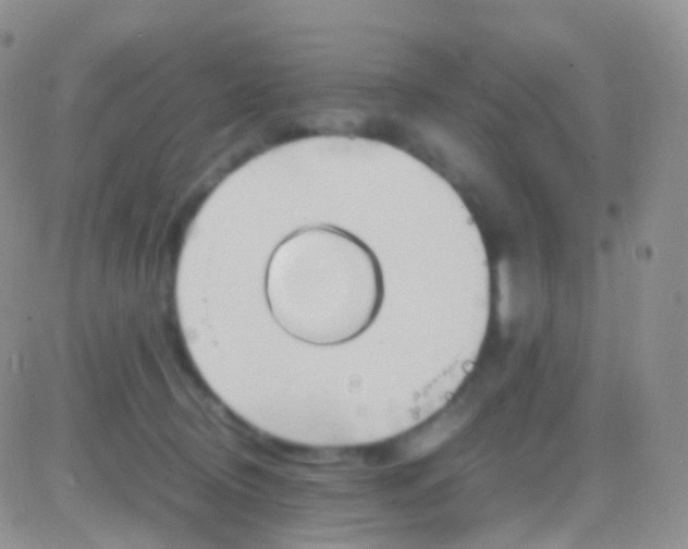 X0000083060370200702232027