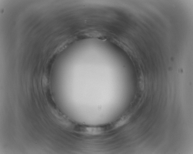 X0000083060371200702232027