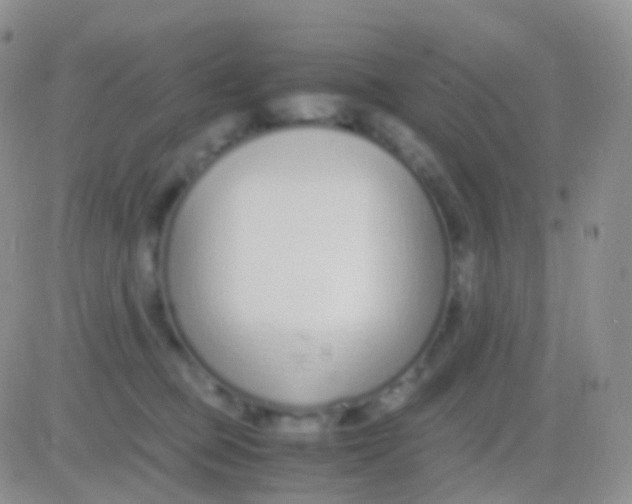 X0000083060373200702232027