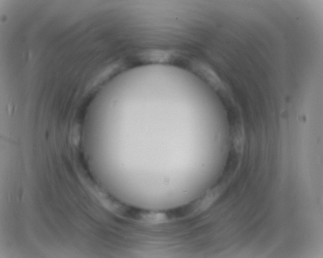 X0000083060374200702232027