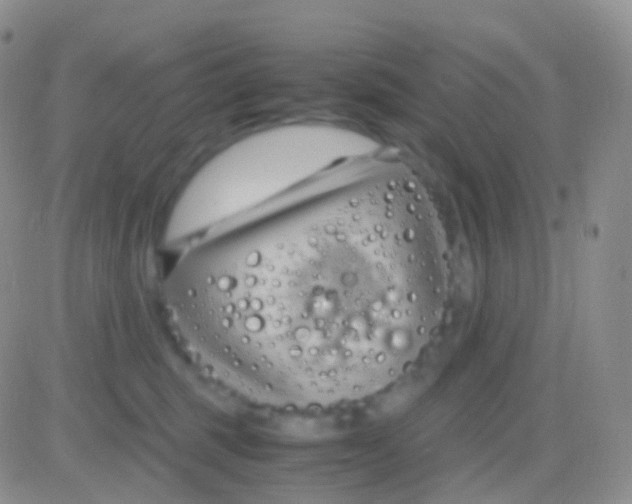 X0000083060375200702232027