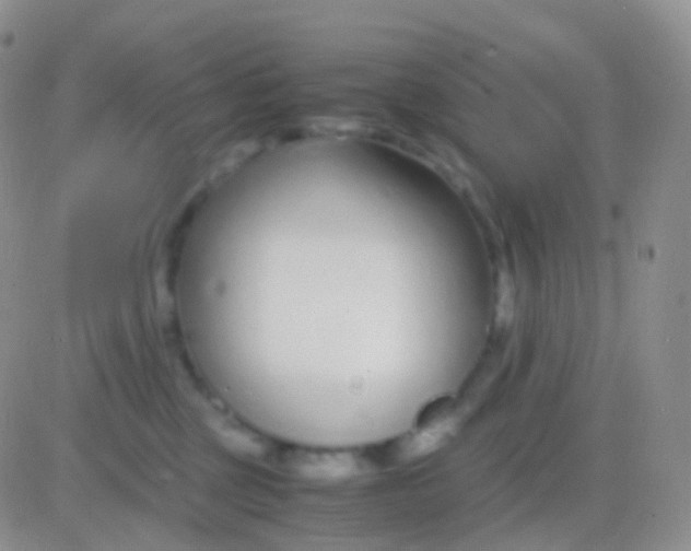 X0000083060377200702232027