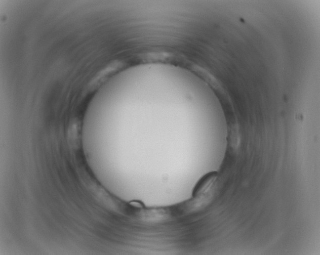 X0000083060378200702232027