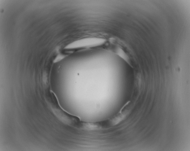 X0000083060380200702232027