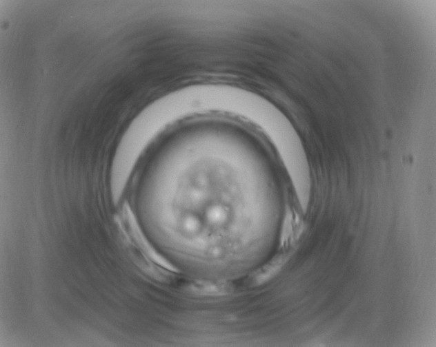 X0000083060381200702232027