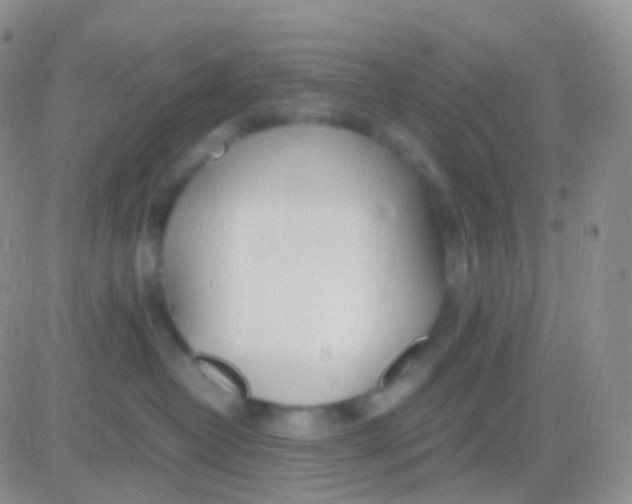 X0000083060382200702232027