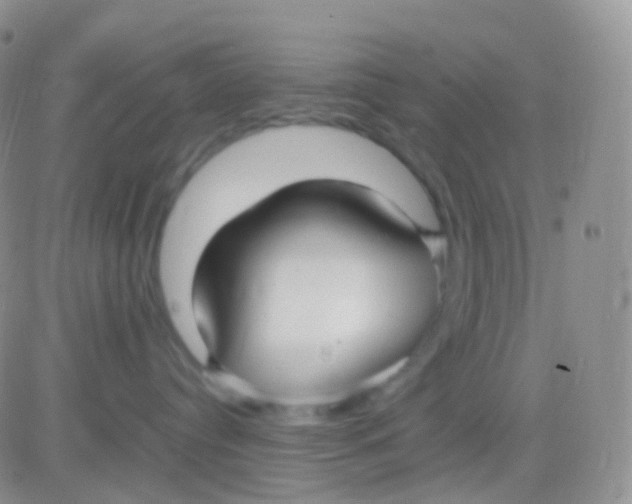 X0000083060384200702232027