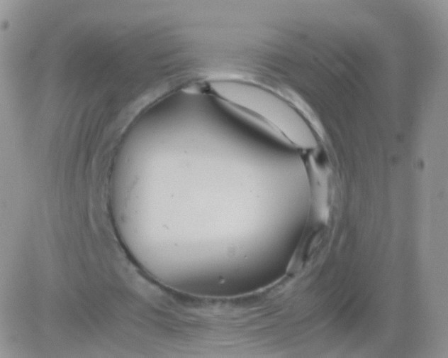 X0000083060385200702232027