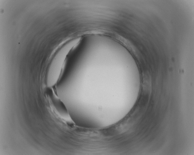 X0000083060386200702232027