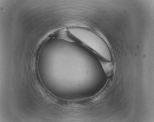 X0000083060387200702232027