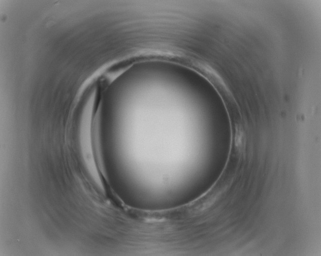 X0000083060388200702232027