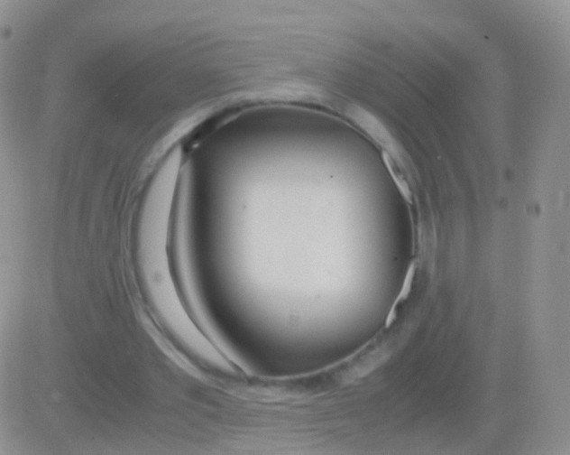 X0000083060389200702232027