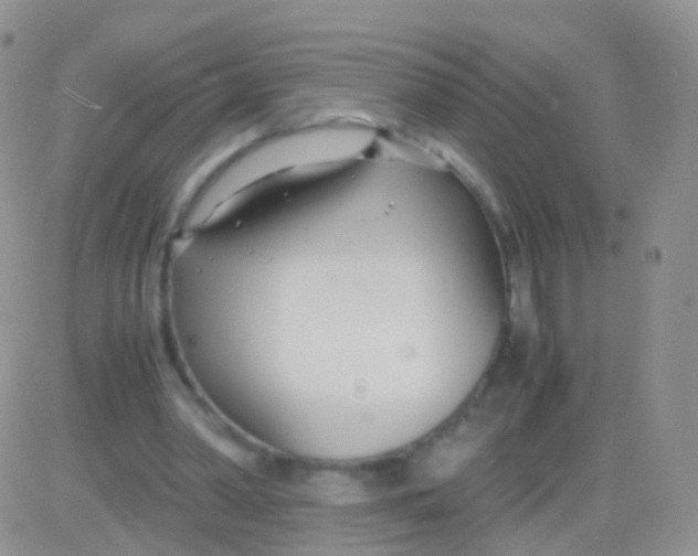 X0000083060390200702232027