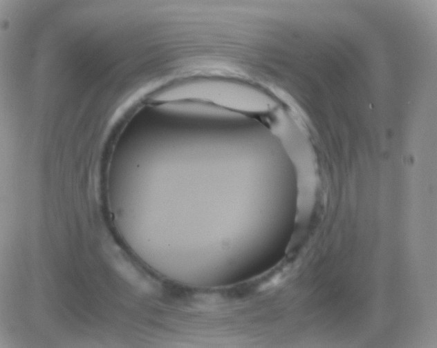 X0000083060391200702232026