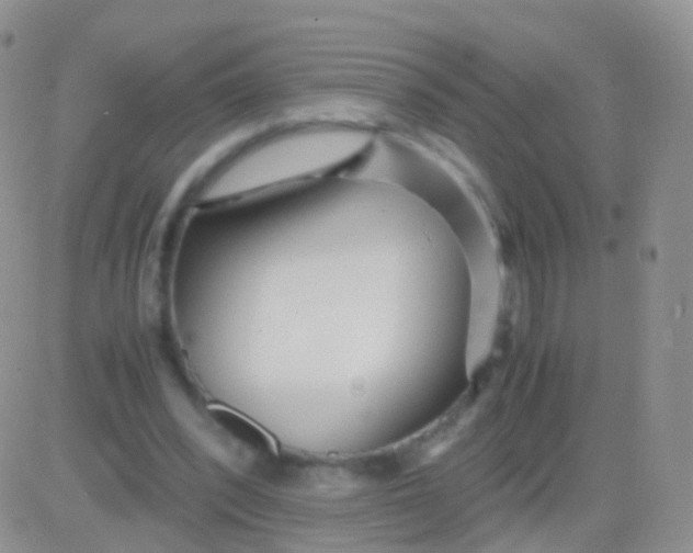 X0000083060392200702232026