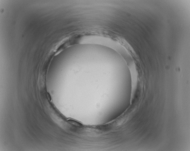 X0000083060393200702232026