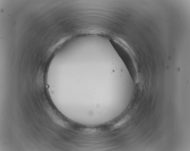 X0000083060394200702232026