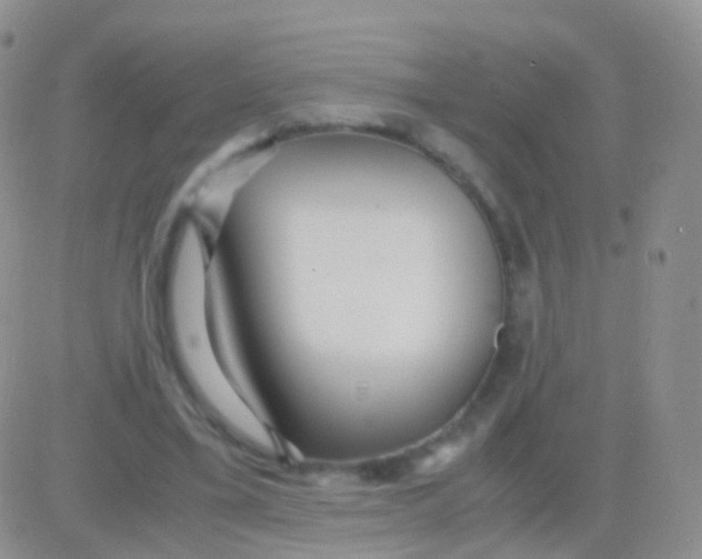 X0000083060395200702232026