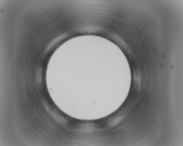 X0000083060396200702232026