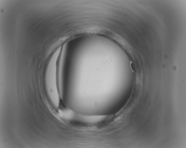 X0000083060397200702232026