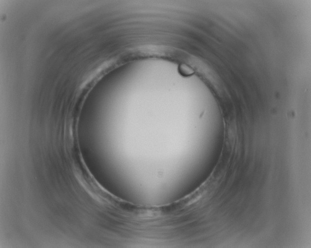 X0000083060398200702232026