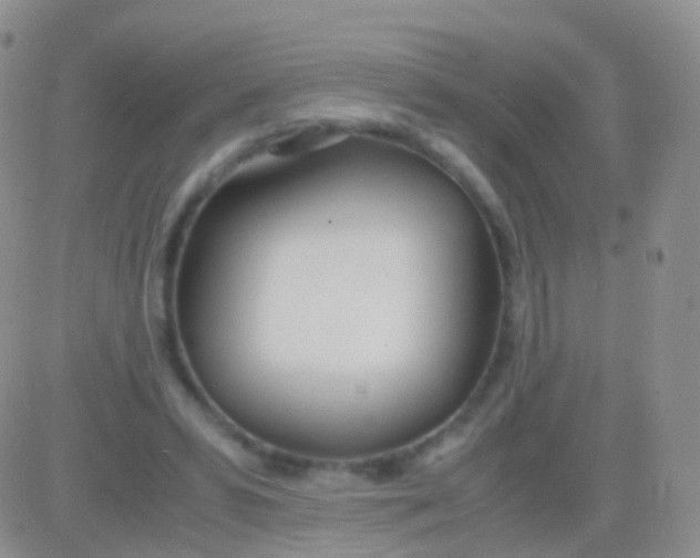 X0000083060399200702232026