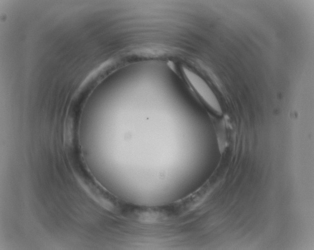 X0000083060400200702232026