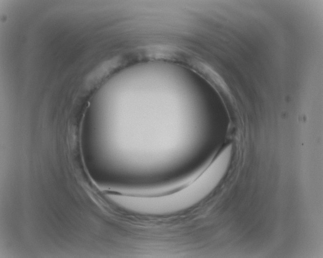 X0000083060401200702232026