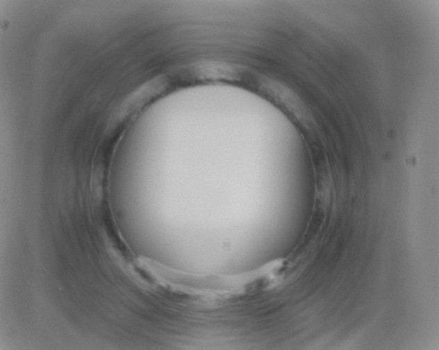 X0000083060402200702232026