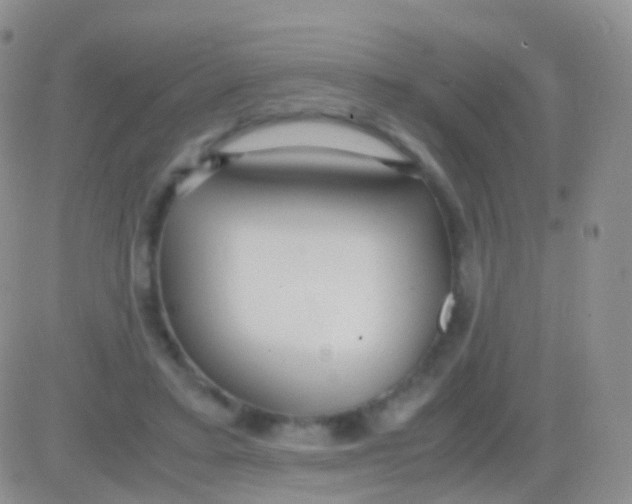 X0000083060403200702232026