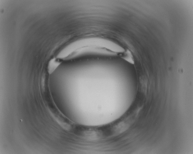 X0000083060404200702232026