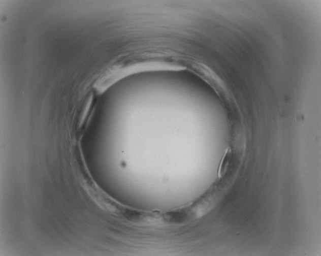 X0000083060405200702232026