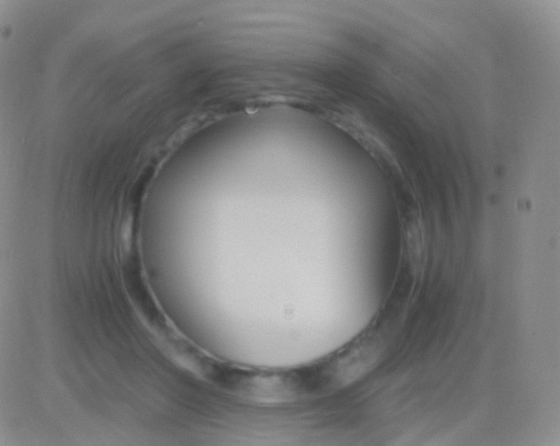 X0000083060406200702232026