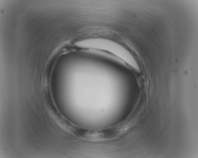 X0000083060407200702232026