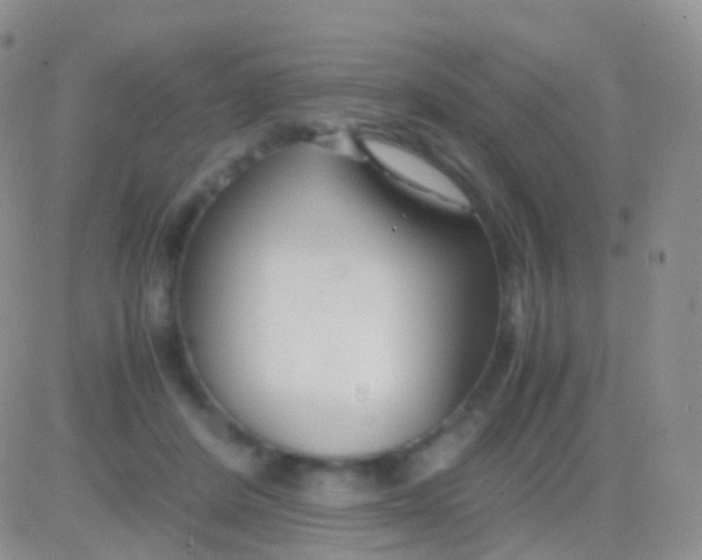 X0000083060408200702232026