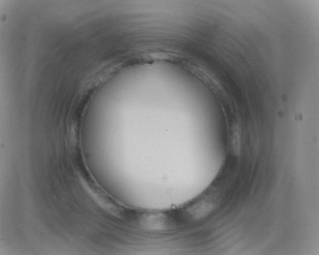 X0000083060410200702232026