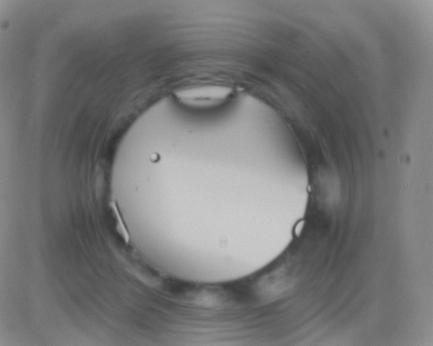 X0000083060412200702232026