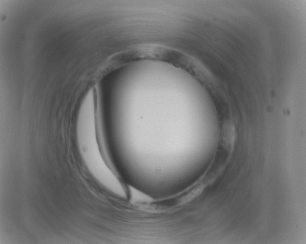 X0000083060413200702232026