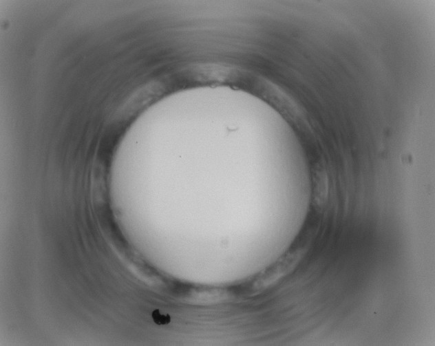 X0000083060414200702232026