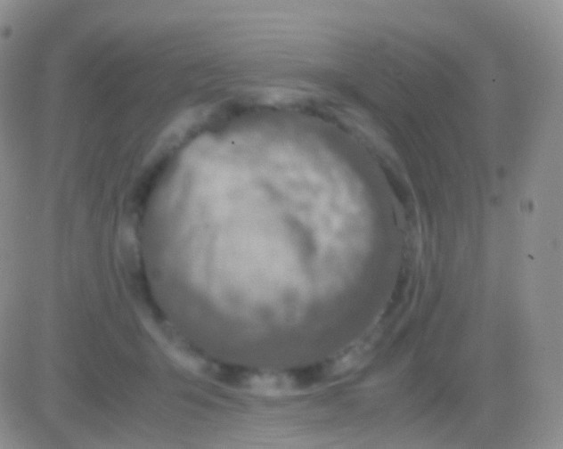 X0000083060415200702232026